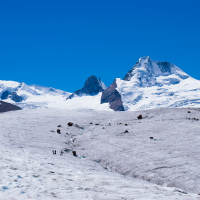 15 - Naveen Tripathi